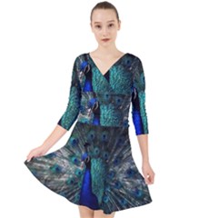 Blue And Green Peacock Quarter Sleeve Front Wrap Dress