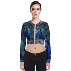 Blue And Green Peacock Long Sleeve Zip Up Bomber Jacket