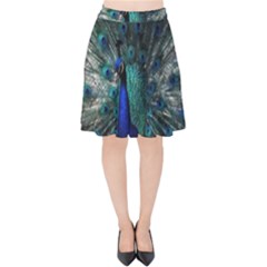 Blue And Green Peacock Velvet High Waist Skirt