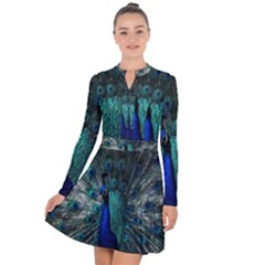 Blue And Green Peacock Long Sleeve Panel Dress