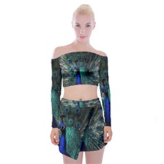 Blue And Green Peacock Off Shoulder Top with Mini Skirt Set