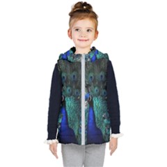 Blue And Green Peacock Kids  Hooded Puffer Vest by Sarkoni