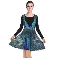 Blue And Green Peacock Plunge Pinafore Dress