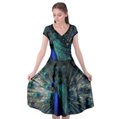 Blue And Green Peacock Cap Sleeve Wrap Front Dress