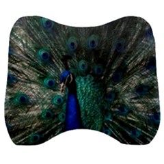 Blue And Green Peacock Velour Head Support Cushion