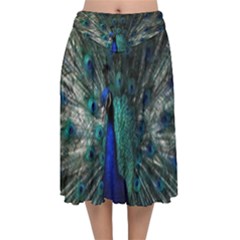 Blue And Green Peacock Velvet Flared Midi Skirt