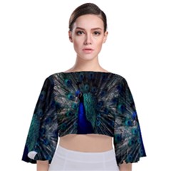 Blue And Green Peacock Tie Back Butterfly Sleeve Chiffon Top