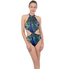 Blue And Green Peacock Halter Side Cut Swimsuit by Sarkoni