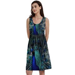 Blue And Green Peacock Classic Skater Dress