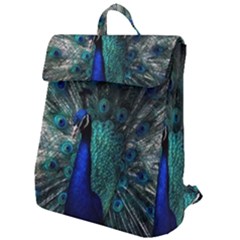 Blue And Green Peacock Flap Top Backpack
