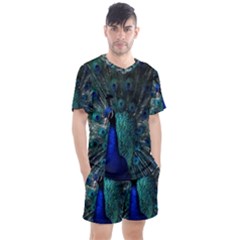 Blue And Green Peacock Men s Mesh T-Shirt and Shorts Set