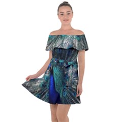 Blue And Green Peacock Off Shoulder Velour Dress