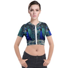 Blue And Green Peacock Short Sleeve Cropped Jacket by Sarkoni