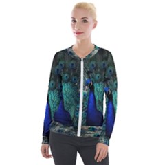 Blue And Green Peacock Velvet Zip Up Jacket