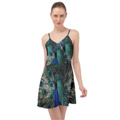 Blue And Green Peacock Summer Time Chiffon Dress