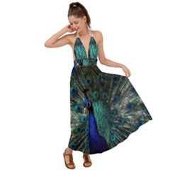 Blue And Green Peacock Backless Maxi Beach Dress