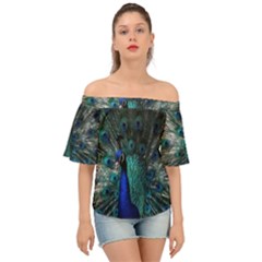Blue And Green Peacock Off Shoulder Short Sleeve Top