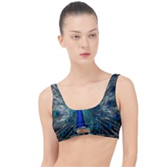 Blue And Green Peacock The Little Details Bikini Top