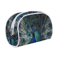 Blue And Green Peacock Make Up Case (Small)