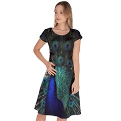 Blue And Green Peacock Classic Short Sleeve Dress