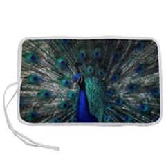 Blue And Green Peacock Pen Storage Case (S)