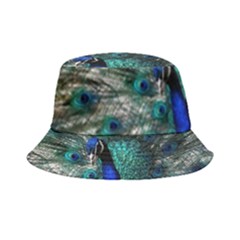 Blue And Green Peacock Bucket Hat
