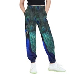 Blue And Green Peacock Kids  Joggers