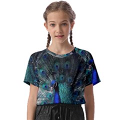 Blue And Green Peacock Kids  Basic T-Shirt
