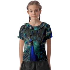 Blue And Green Peacock Kids  Frill Chiffon Blouse