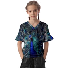 Blue And Green Peacock Kids  V-Neck Horn Sleeve Blouse