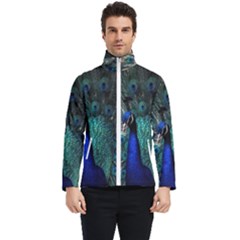 Blue And Green Peacock Men s Bomber Jacket