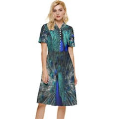 Blue And Green Peacock Button Top Knee Length Dress