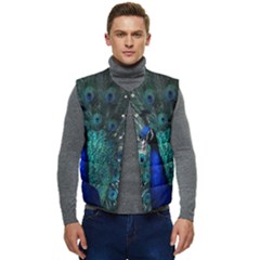 Blue And Green Peacock Men s Button Up Puffer Vest	