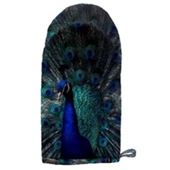 Blue And Green Peacock Microwave Oven Glove