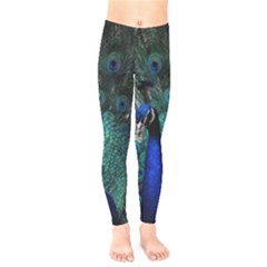 Blue And Green Peacock Kids  Classic Winter Leggings by Sarkoni