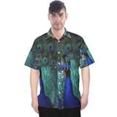 Blue And Green Peacock Men s Hawaii Shirt