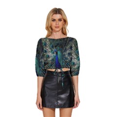 Blue And Green Peacock Mid Sleeve Drawstring Hem Top