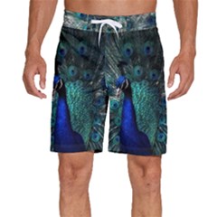 Blue And Green Peacock Men s Beach Shorts by Sarkoni