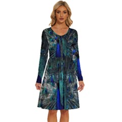 Blue And Green Peacock Long Sleeve Dress With Pocket