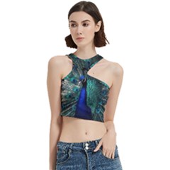 Blue And Green Peacock Cut Out Top