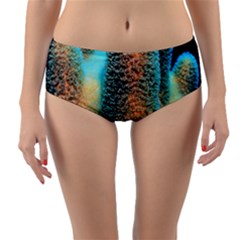 Photo Coral Great Scleractinia Reversible Mid-waist Bikini Bottoms by Pakjumat