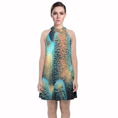 Photo Coral Great Scleractinia Velvet Halter Neckline Dress  by Pakjumat