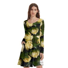 Bouquet Flowers Roses Decoration Long Sleeve Knee Length Skater Dress With Pockets by Amaryn4rt