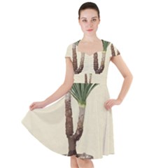 Tree Vector Art In A Flower Pot Cap Sleeve Midi Dress by Sarkoni