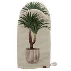 Tree Vector Art In A Flower Pot Microwave Oven Glove