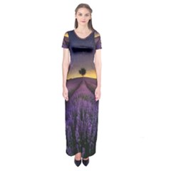 Bed Of Purple Petaled Flowers Photography Landscape Nature Short Sleeve Maxi Dress