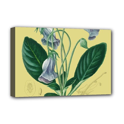 Botanical Plants Green Deluxe Canvas 18  X 12  (stretched)