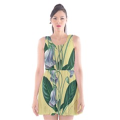 Botanical Plants Green Scoop Neck Skater Dress