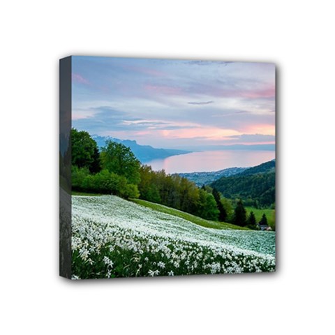 Field Of White Petaled Flowers Nature Landscape Mini Canvas 4  x 4  (Stretched)