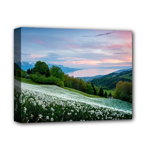 Field Of White Petaled Flowers Nature Landscape Deluxe Canvas 14  x 11  (Stretched)